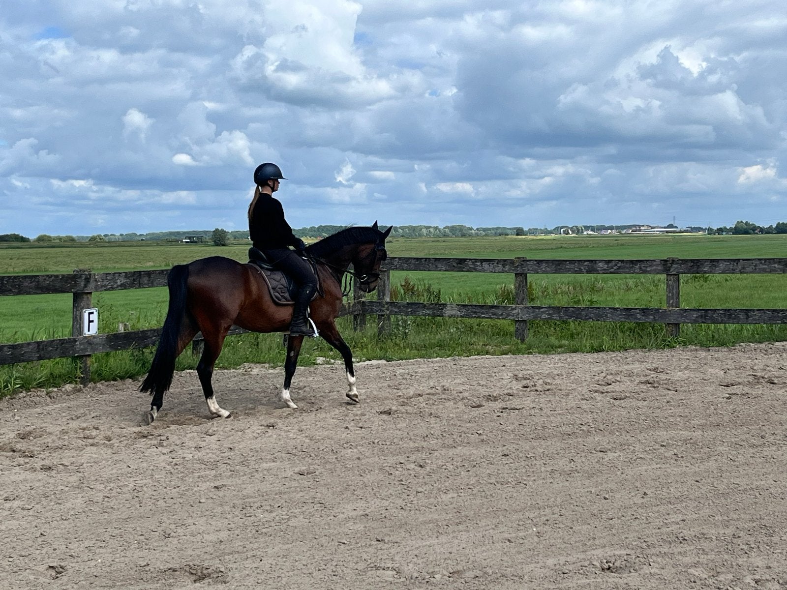 Stalling te huur, Stalling, 1 paard of pony