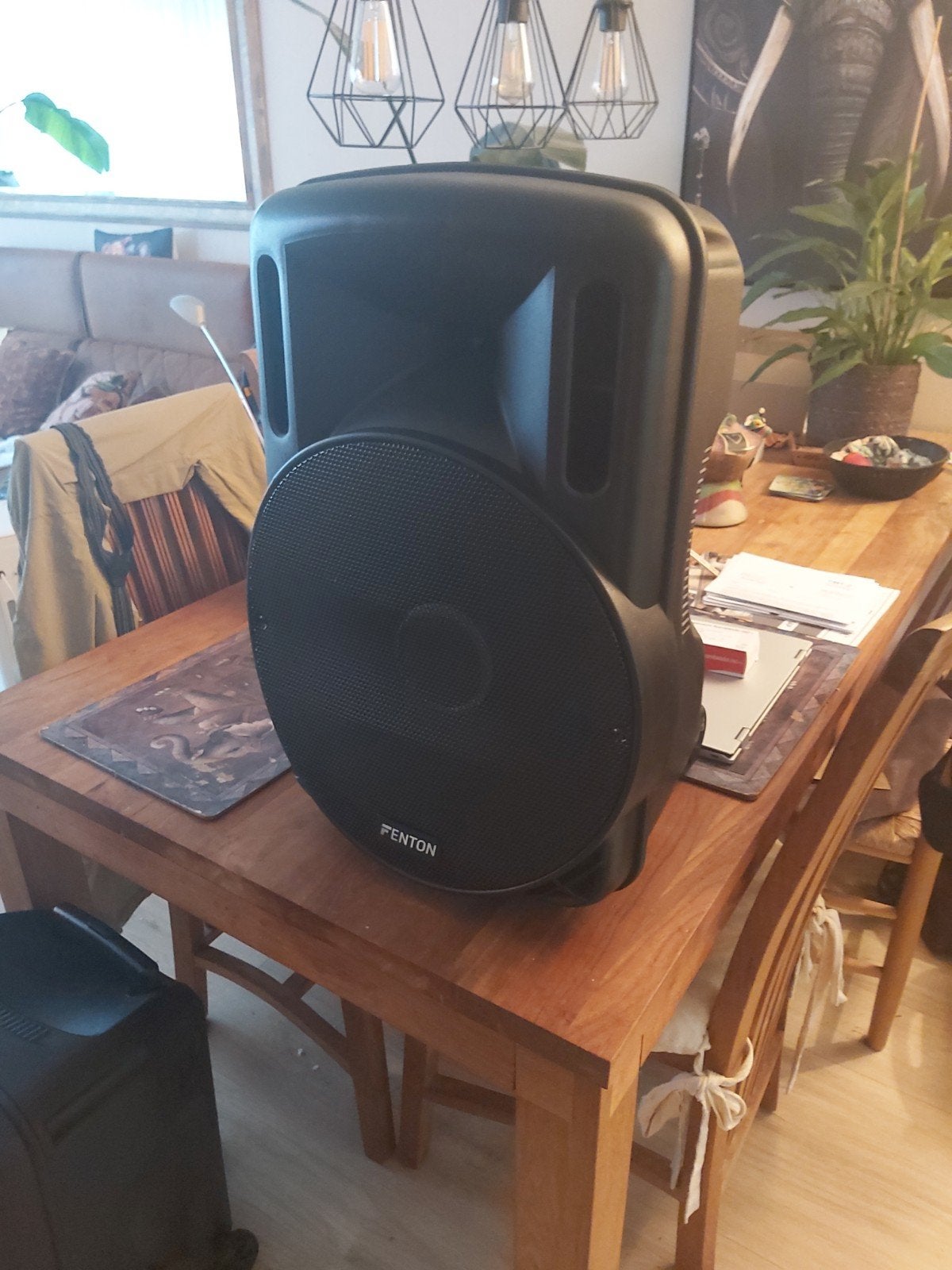 Fenton Party Speaker 15 inch met Bluetooth en USB, Gebruikt, Bluetooth, Party speaker, Ophalen of Verzenden