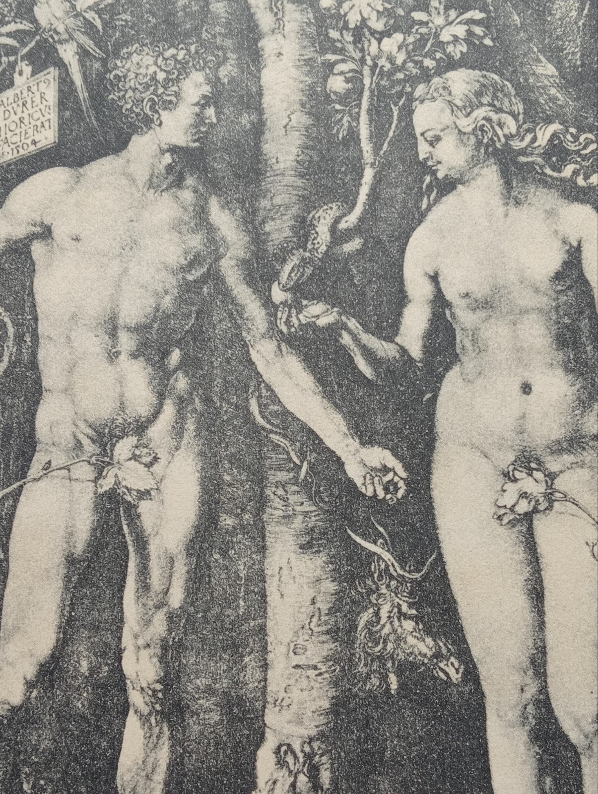 Albrecht Dürer offset prent Adam en Eva, Antiek en Kunst, Ophalen of Verzenden