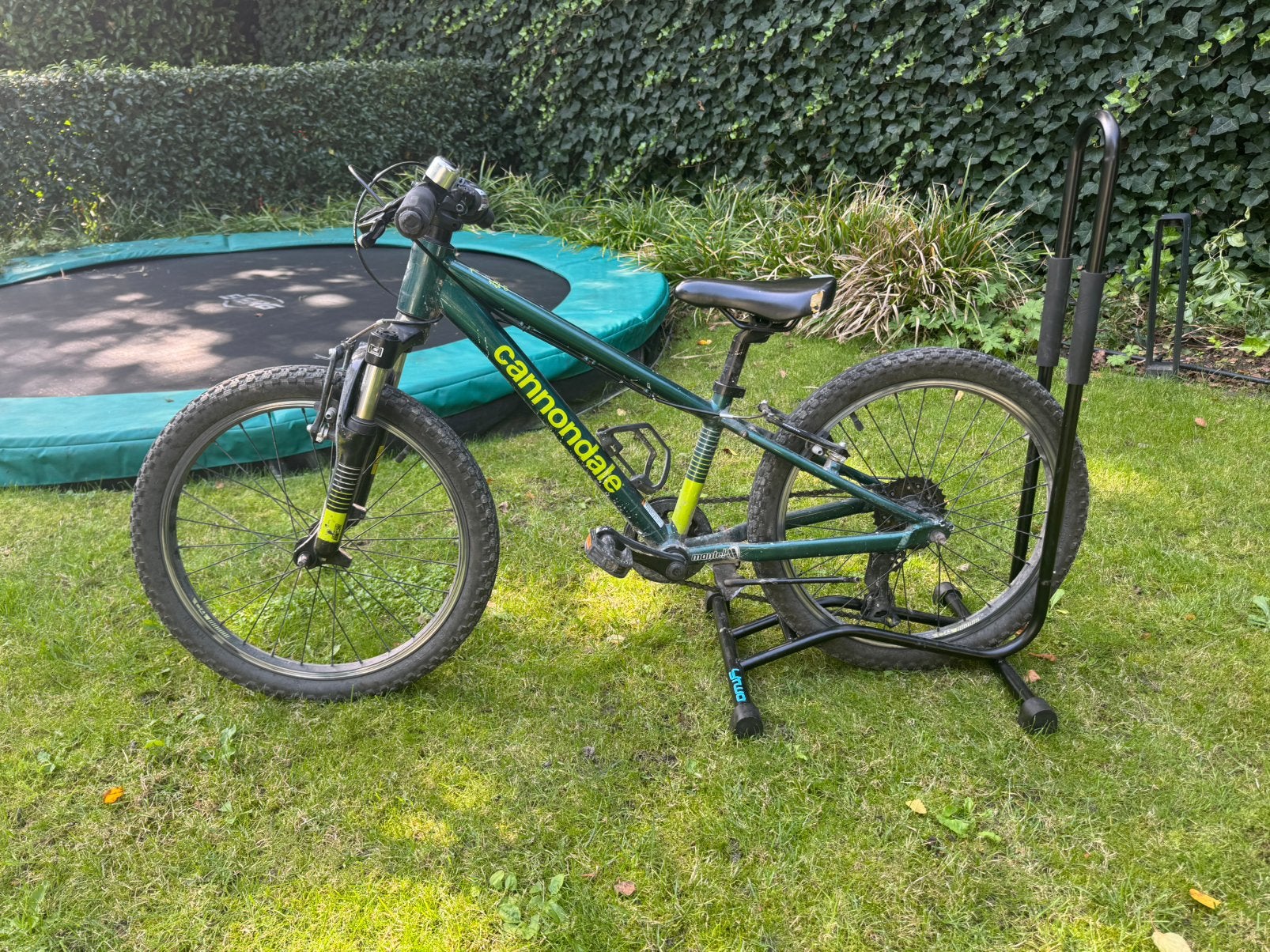 Cannondale Trail 20 kinder MTB – 20 inch – 7 versnellingen, Minder dan 47 cm, Ophalen, Gebruikt, Staal