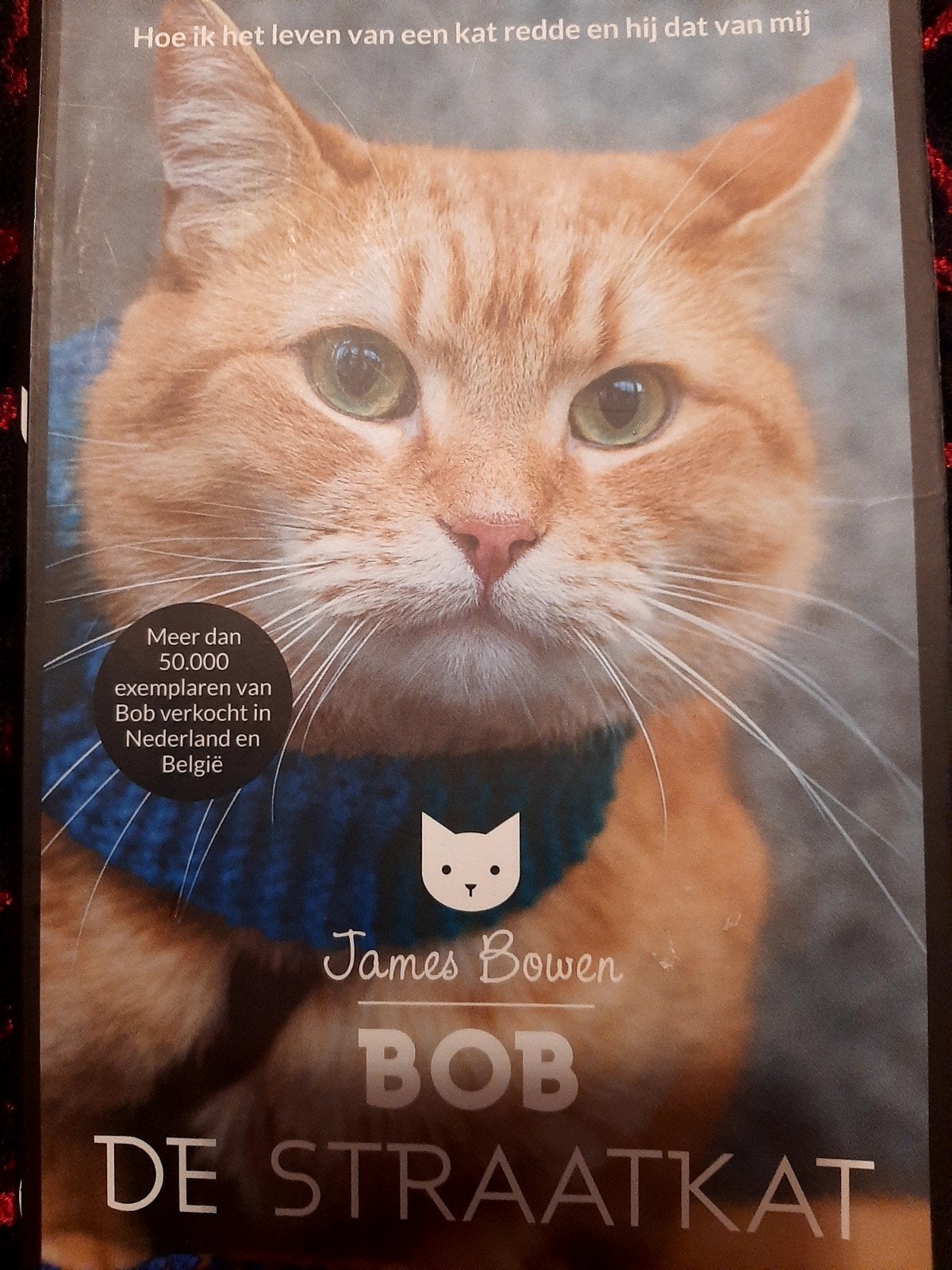 Bob de Straatkat - James Bowen (Zo goed als nieuw), Boeken, Ophalen of Verzenden, Gelezen, James Bowen