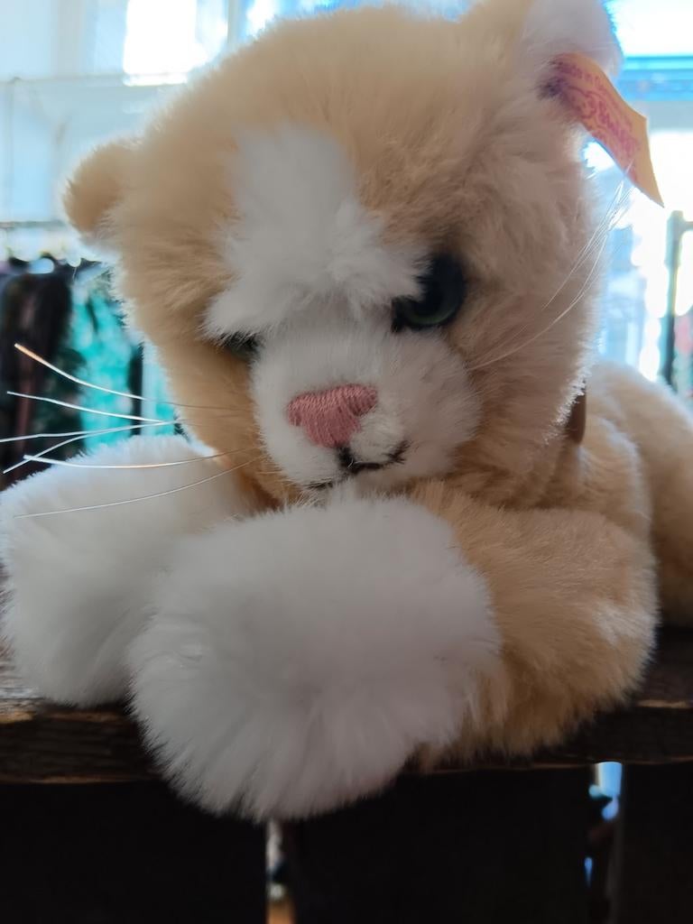 Leuke Steiff Cat, Ophalen of Verzenden, Stoffen beer, Steiff