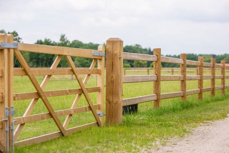 Weidegang/paardenstalling gezocht, Dieren en Toebehoren, Weidegang, 1 paard of pony