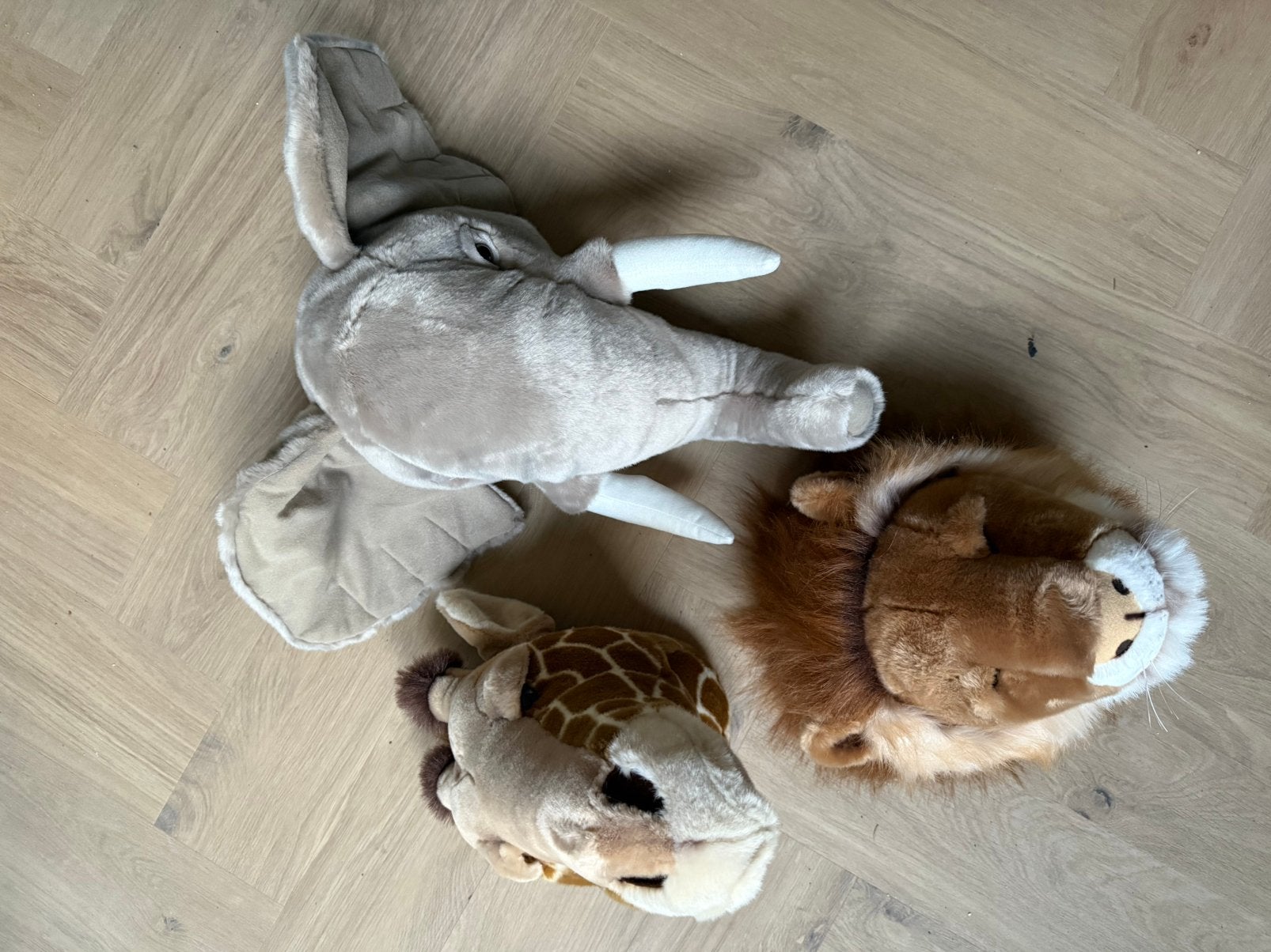 Prachtige dierenkoppen can wild and soft, Ophalen of Verzenden, Nieuw, Wanddecoratie