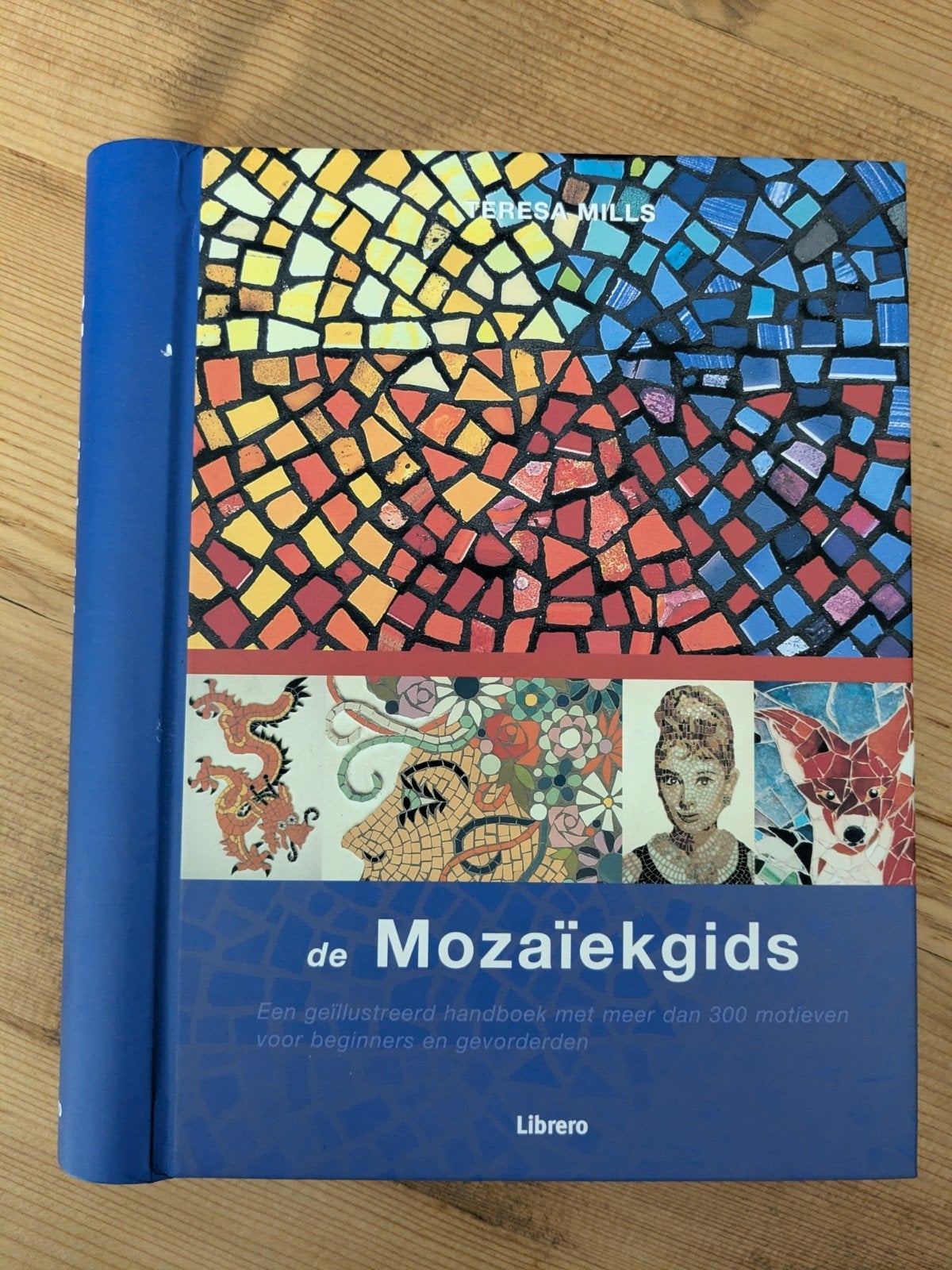 De Mozaïekgids: Handboek met 300+ motieven, Ophalen of Verzenden, Zo goed als nieuw, Overige onderwerpen, Teresa Mills