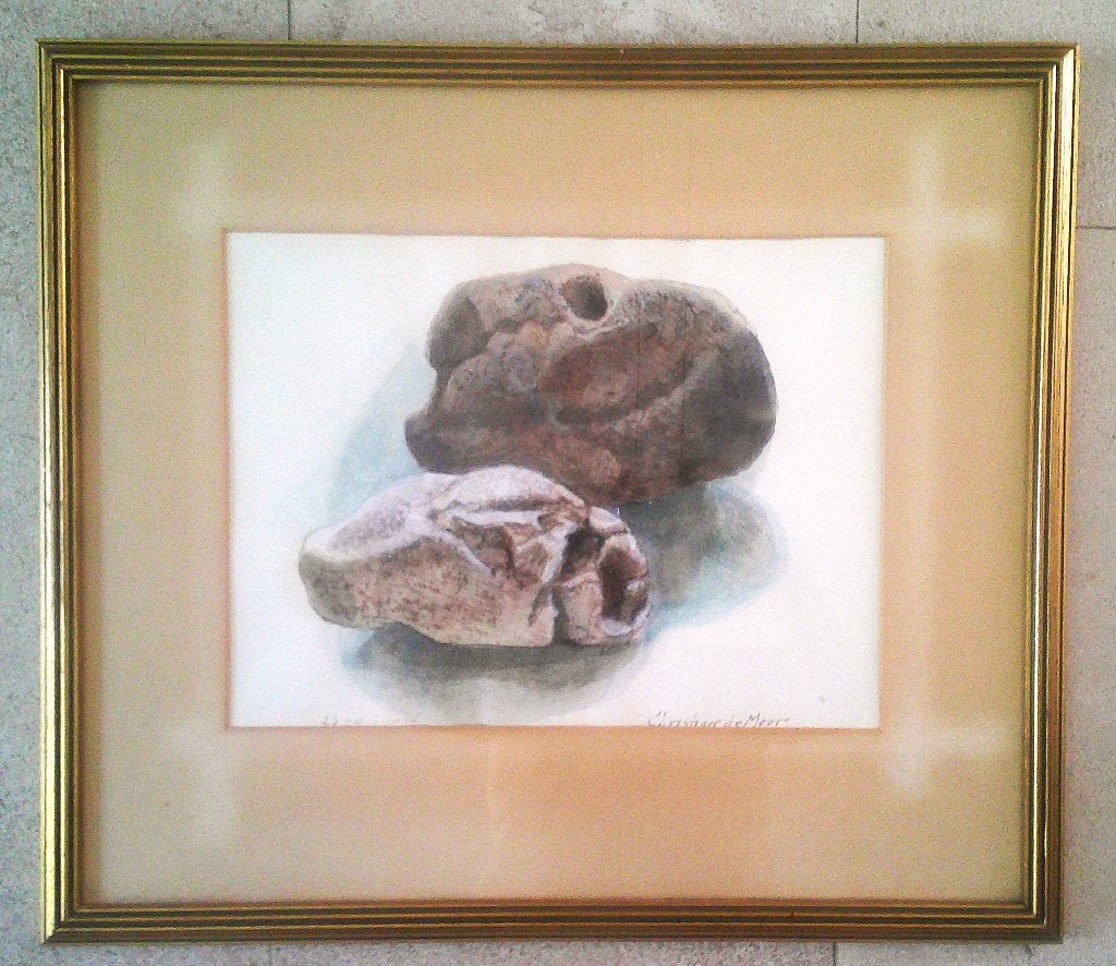 (Fossielen) in een steen 23-9-72- Christian de Moor 1899-'81, Overige stijlen, Gedateerd, Ophalen of Verzenden, Aquarel