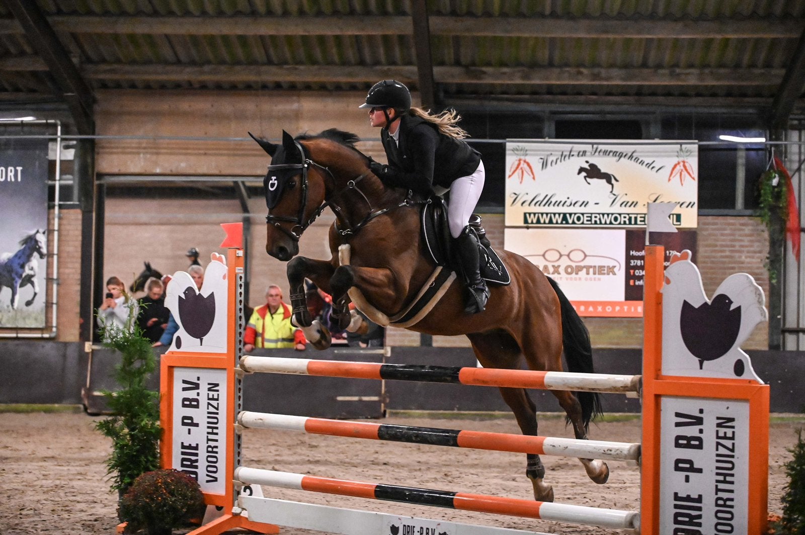 Talentvolle 9- jarige springruin, Dieren en Toebehoren, Paarden