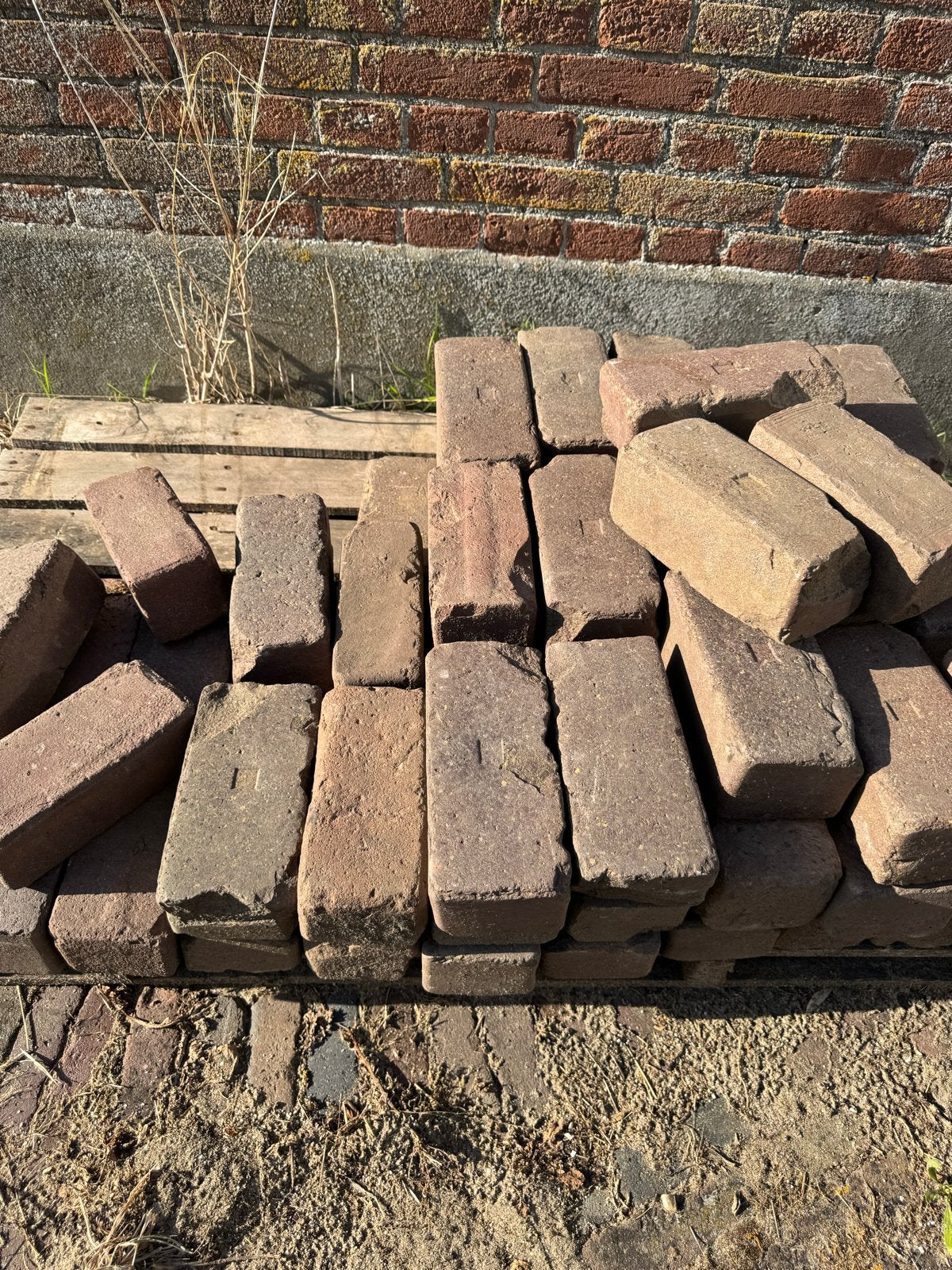 Gratis betonklinkers - ruim 200 stuks, Ophalen, Gebruikt, Klinkers, 10 m² of meer