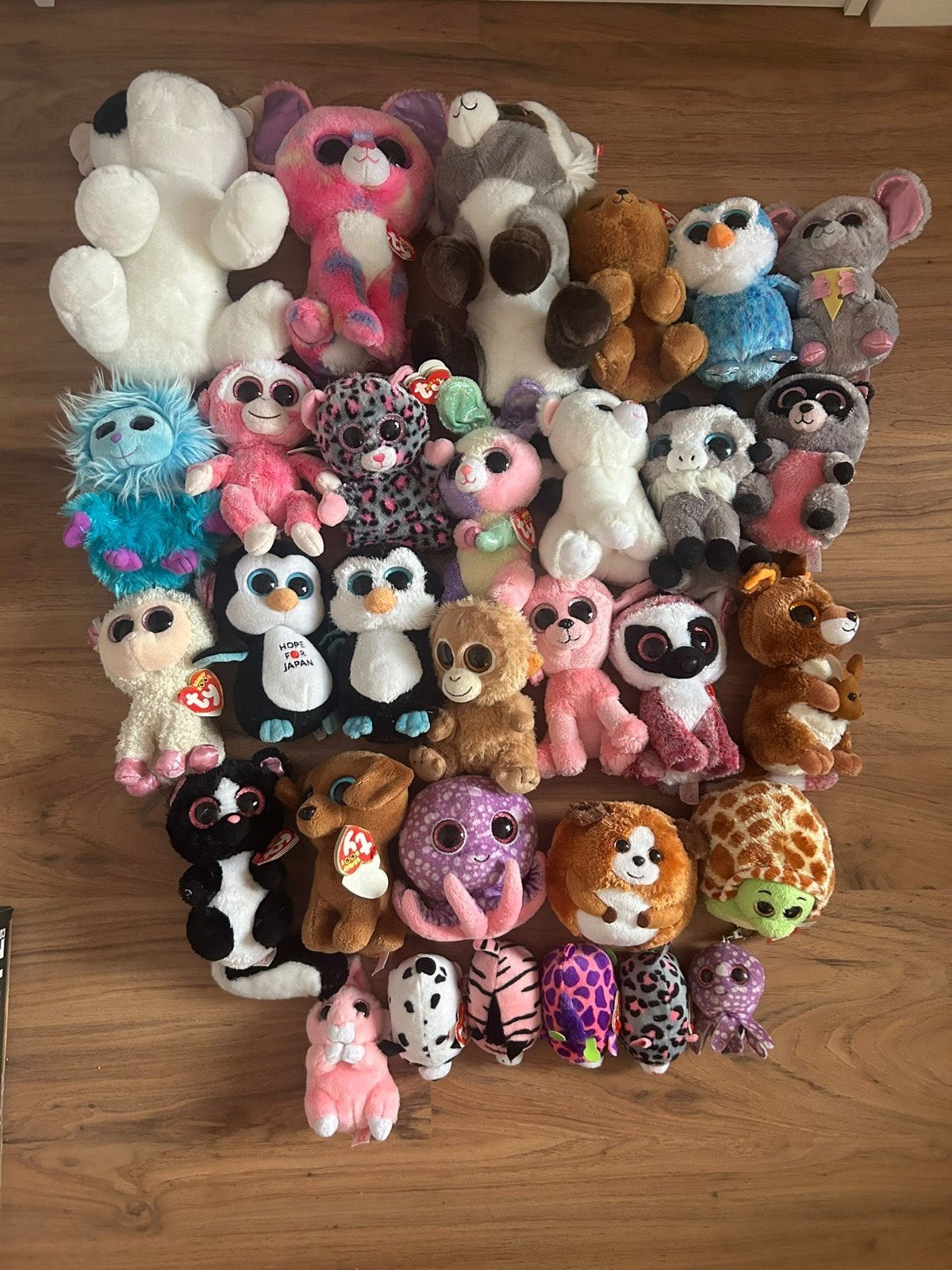 Grote collectie Ty Beanie Boo's knuffels, Ophalen, Gebruikt, Met label, Meerkleurig