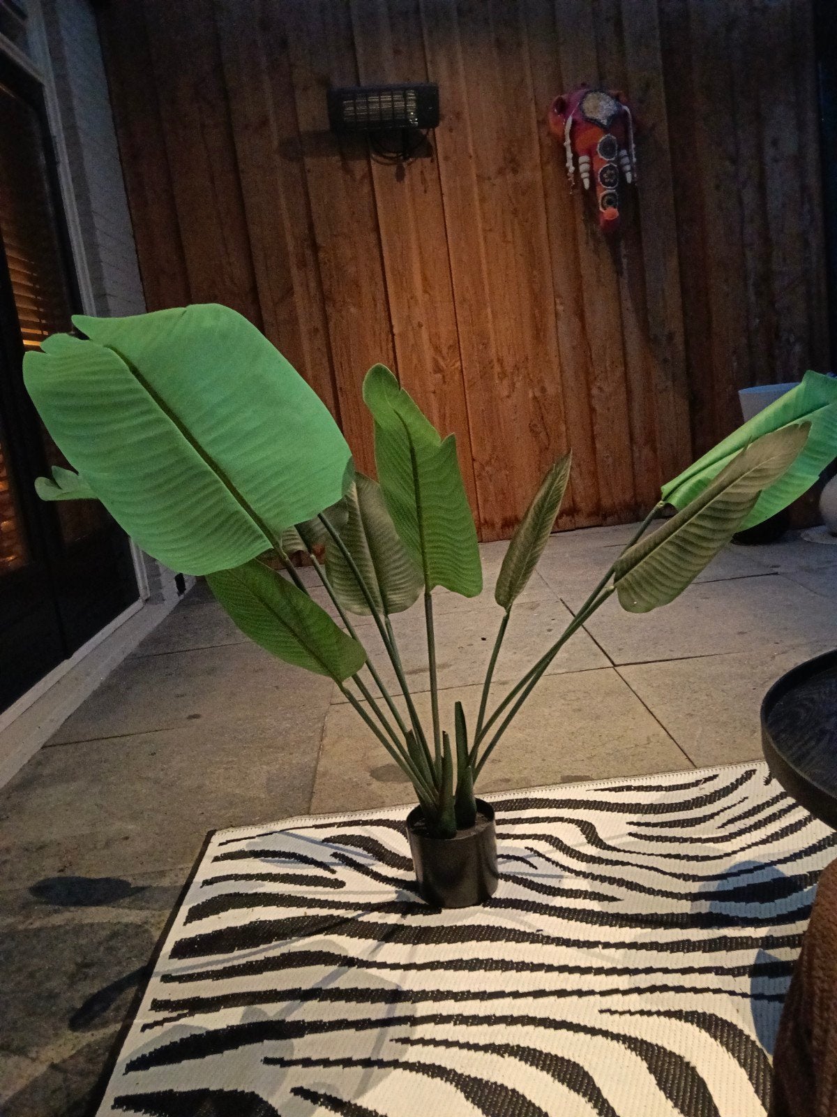 Grote kunstplant Strelitzia (Paradijsvogelbloem), Ophalen, 100 tot 150 cm, Overige soorten, Halfschaduw