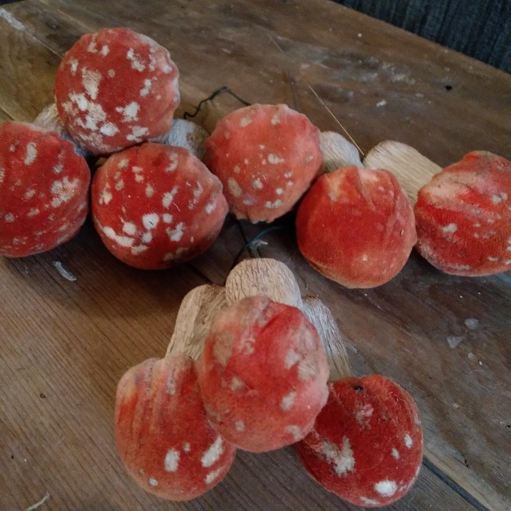 9 prachtige vintage papier-mâche paddenstoelen, Verzenden