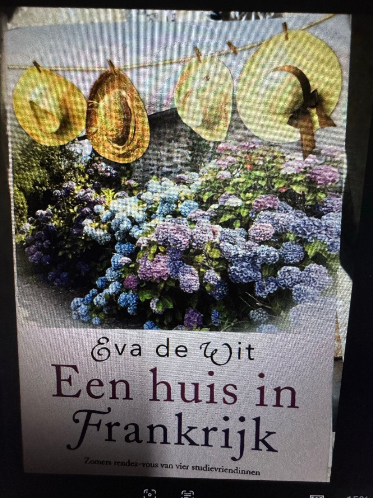 Een huis in Frankrijk - Eva de Wit (Roman), Boeken, Ophalen of Verzenden, Gelezen, Nederland