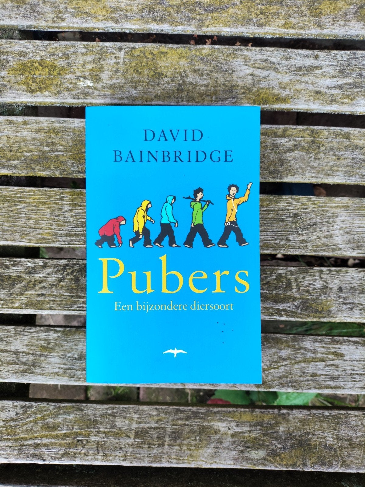 David Bainbridge - Pubers, Ophalen of Verzenden, Zo goed als nieuw, David Bainbridge