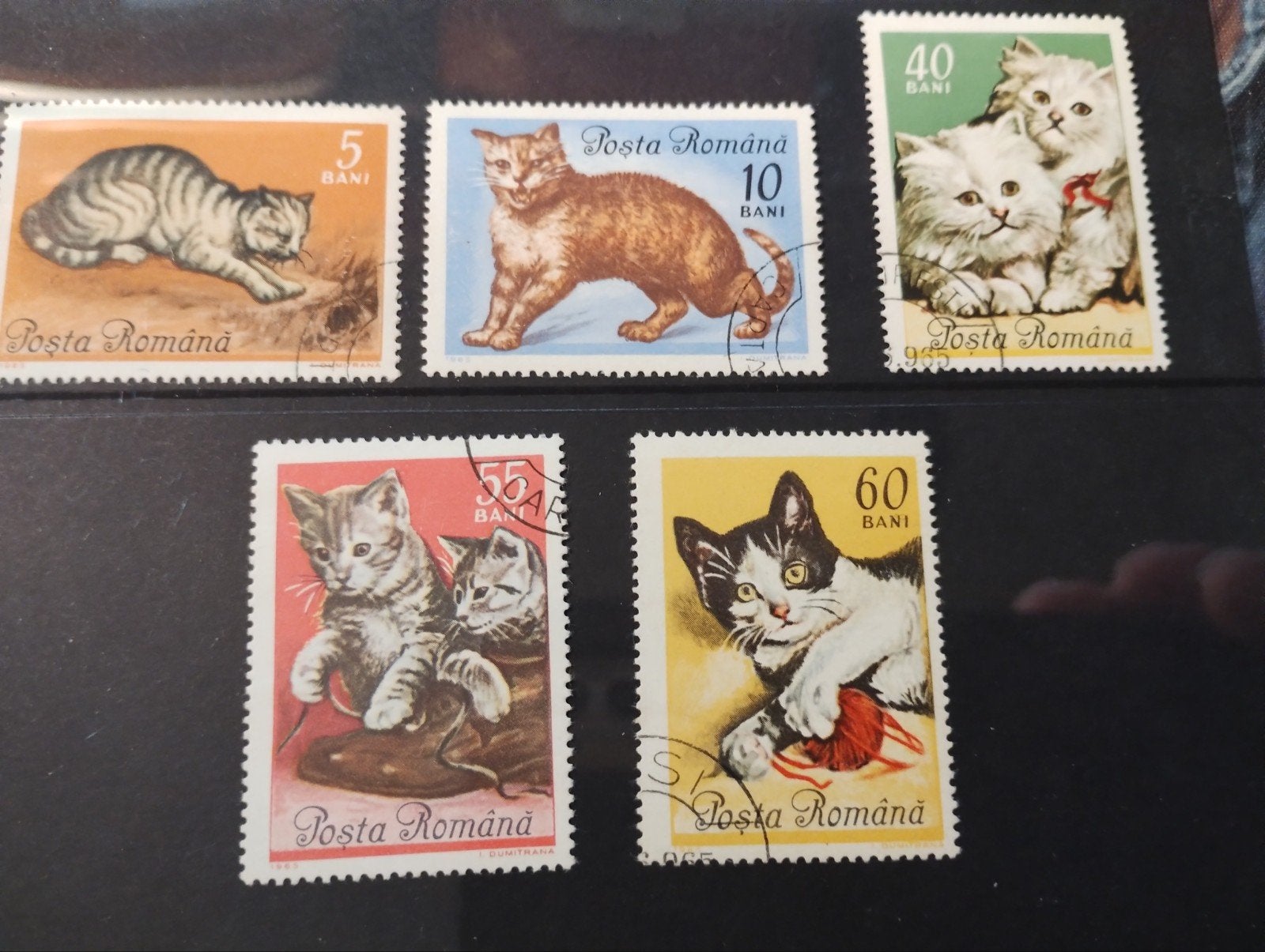 5 Postzegels met katten., Ophalen of Verzenden, Dier of Natuur