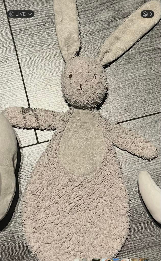 Verloren konijn!! €100.- beloning, Ophalen of Verzenden, Gebruikt, Overige typen