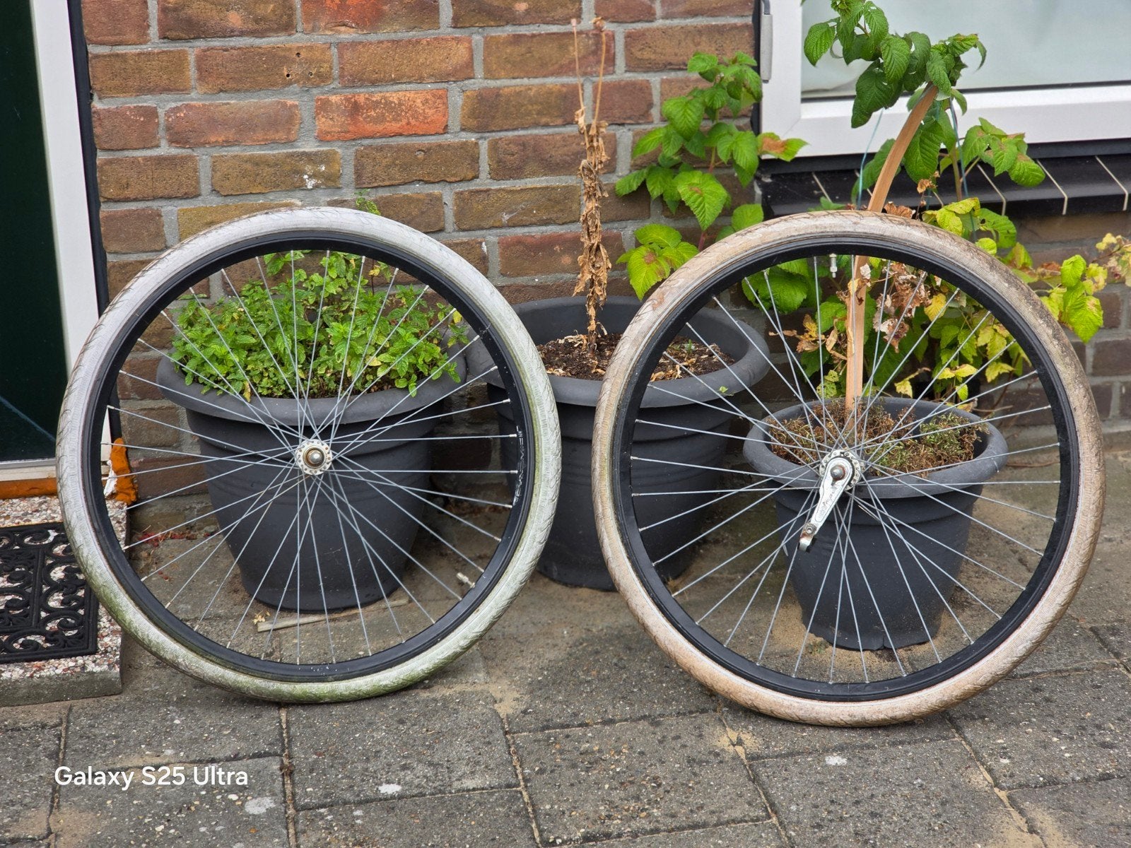 Omafiets wielen met banden, Fietsen en Brommers, Fietsonderdelen, Wiel, Gebruikt, Staal, Ophalen of Verzenden