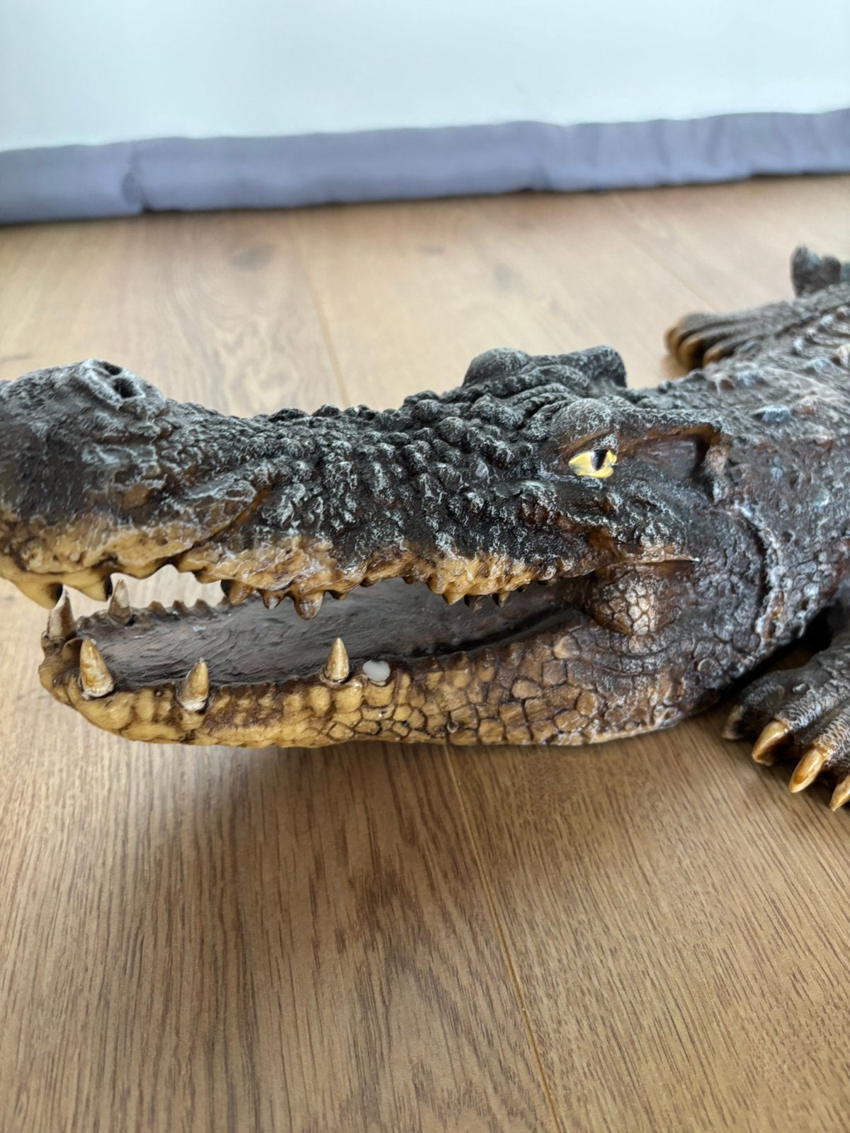 Krokodil 80.Centimeter, Dieren en Toebehoren, Reptielen en Amfibieën, Schildpad, 0 tot 2 jaar