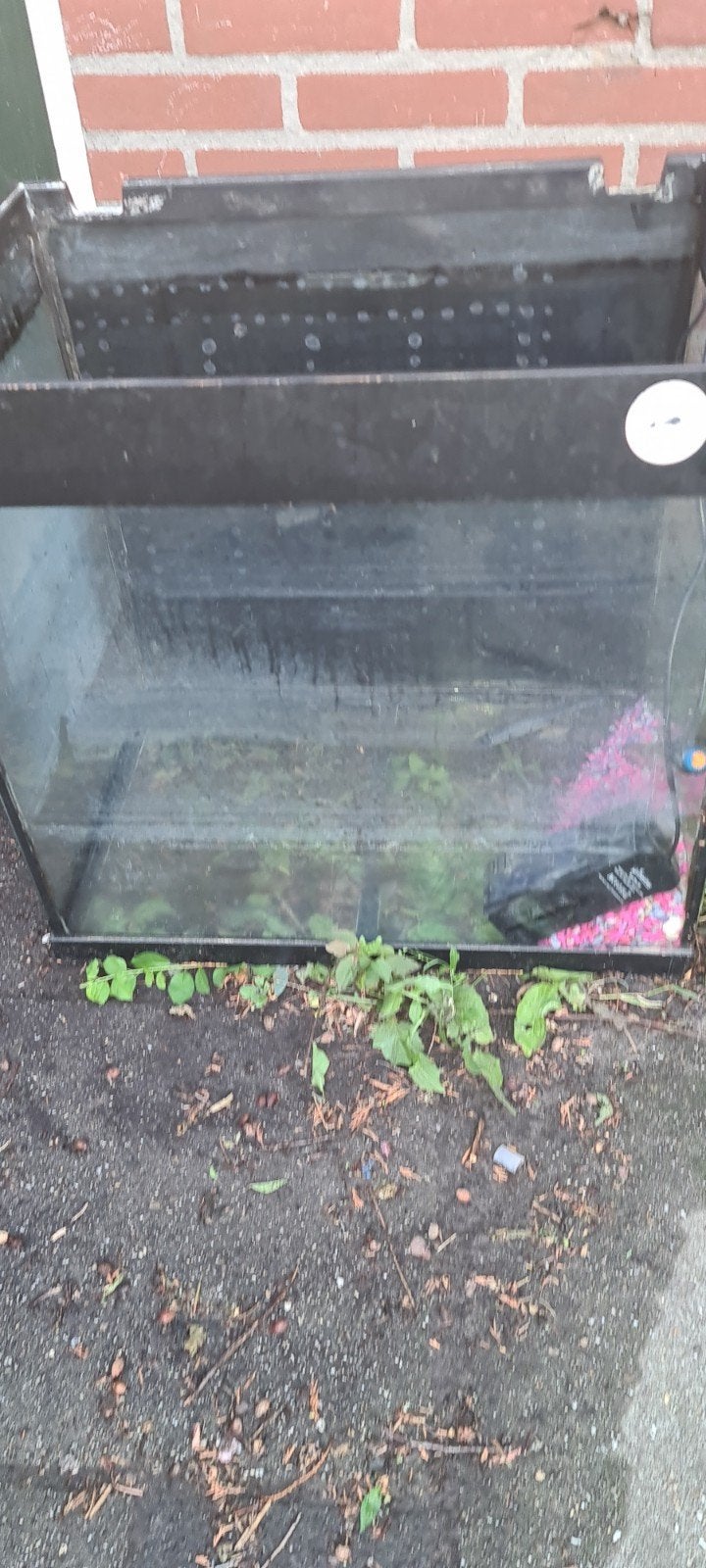 Terrarium 60cm hoog 60cm breed 40cm diep, 0 tot 2 jaar