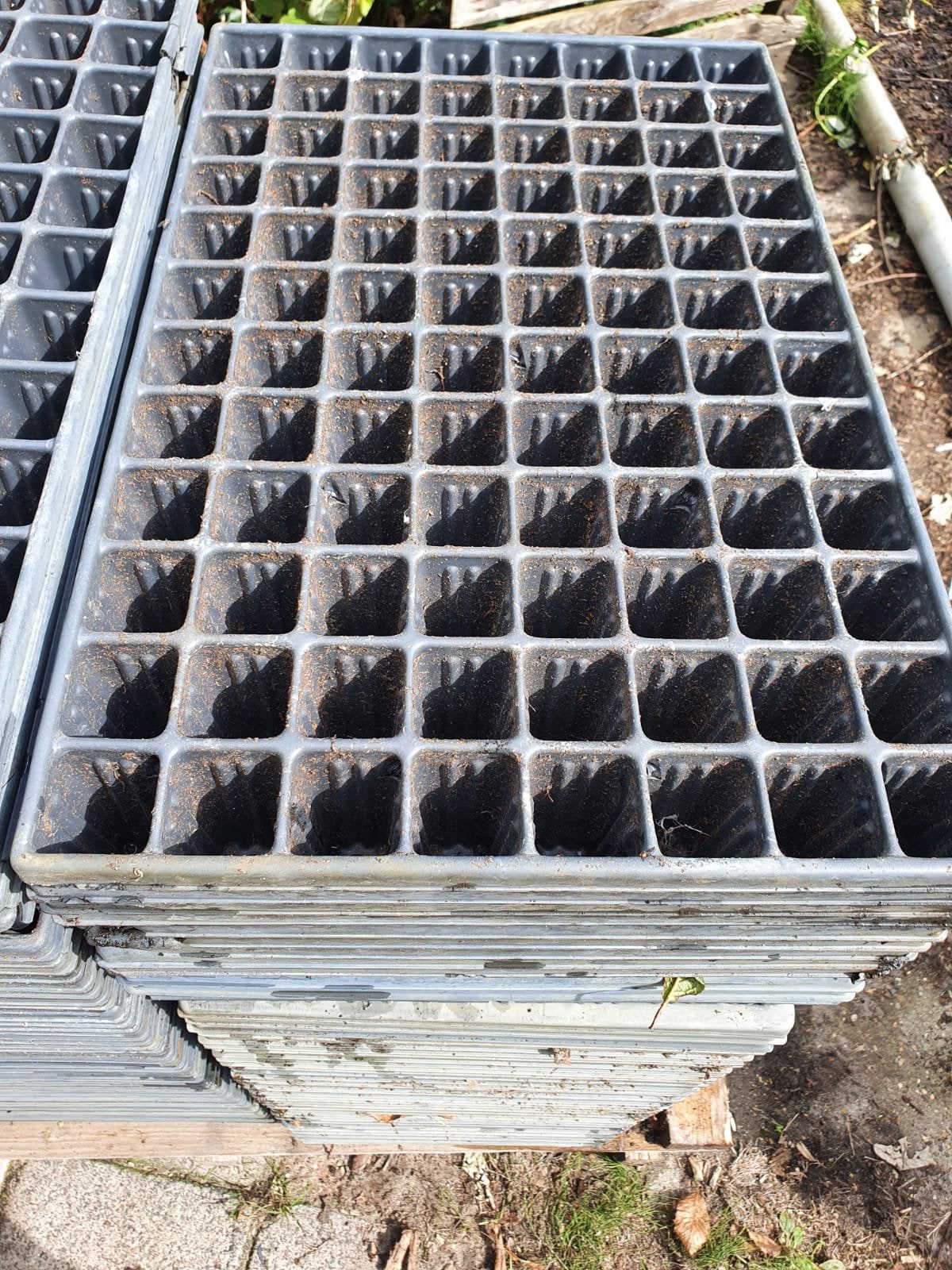 Stek of zaai trays, Tuin en Terras, Ophalen, Gebruikt
