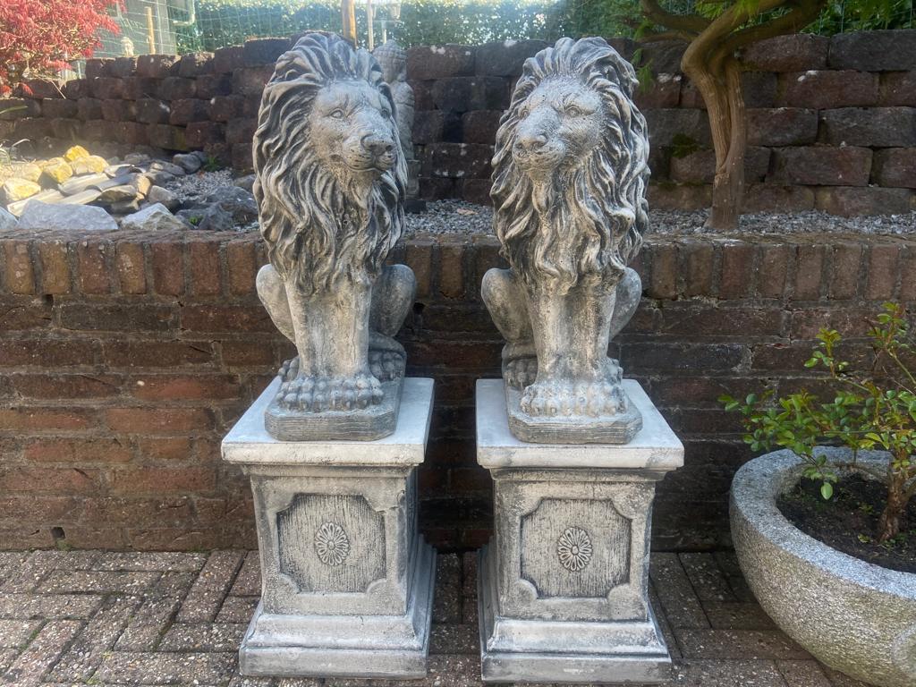 2 Leeuwen op Zuilen., Ophalen, Nieuw, Beton, Dierenbeeld