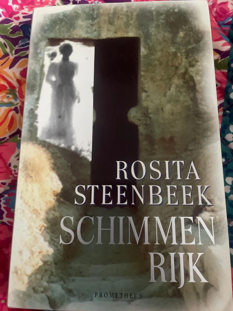 Rosita Steenbeek - Schimmenrijk (Roman), Boeken, Ophalen of Verzenden, Gelezen, Nederland