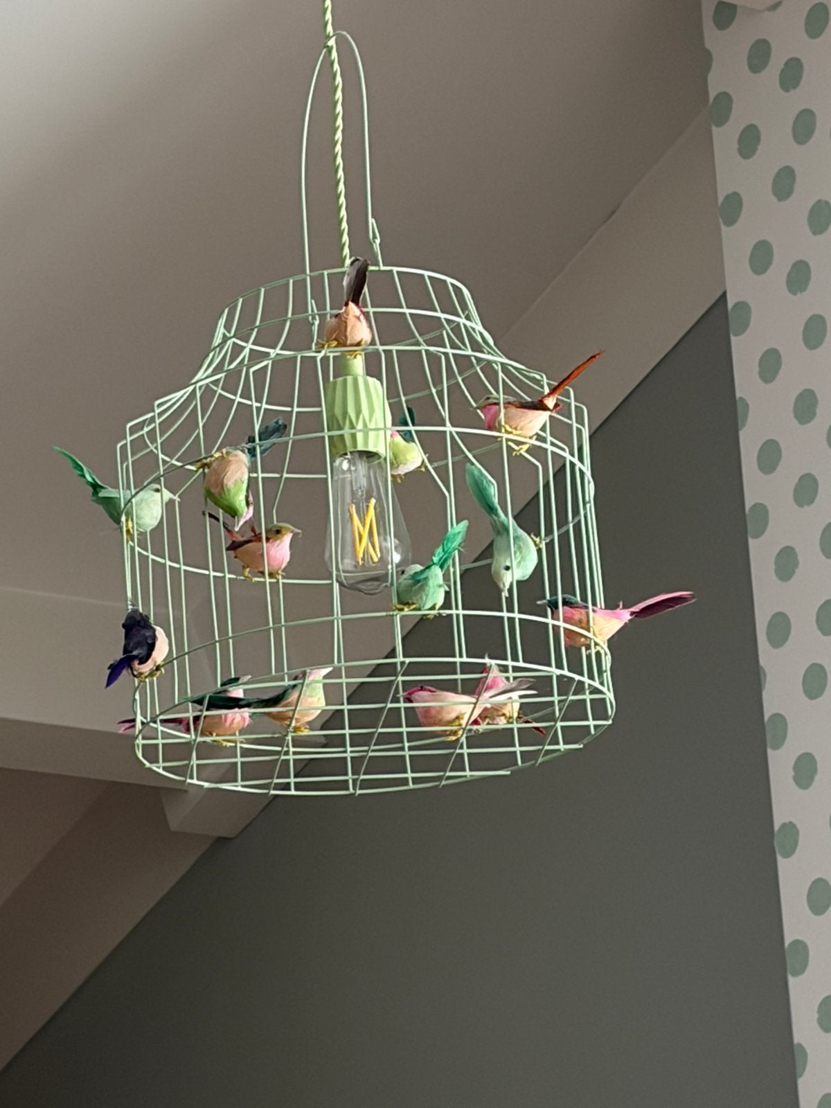 Vogel lamp, Ophalen, Zo goed als nieuw