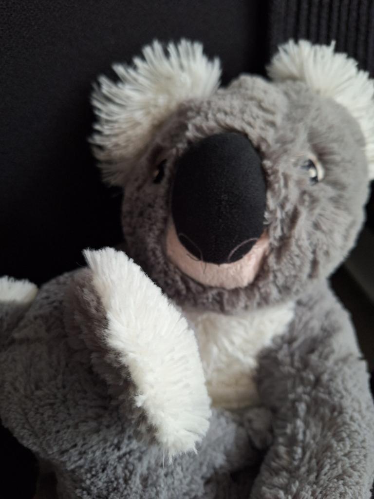 Mama koala met kind knuffel, Kinderen en Baby's, Speelgoed | Knuffels en Pluche, Overige merken, Overige karakters, Beer, Ophalen of Verzenden