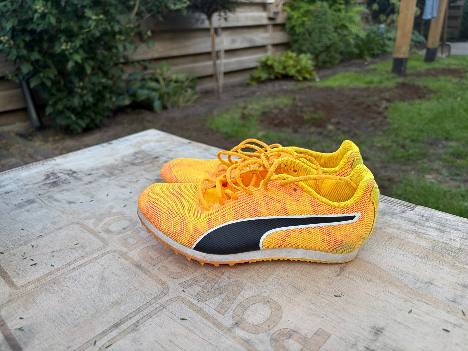Puma Evospeed spikes - Maat 34, Sport en Fitness, Overige merken, Ophalen of Verzenden, Zo goed als nieuw, Spikes