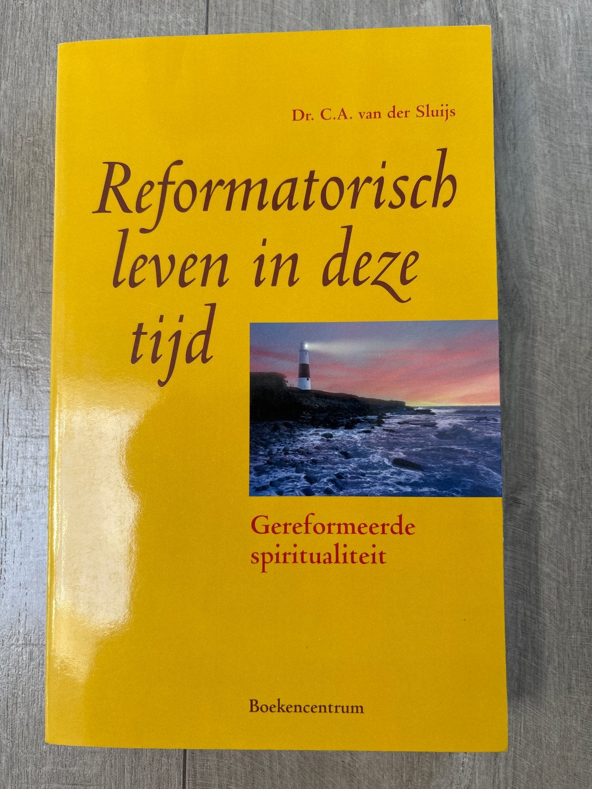 C.A. van der Sluijs - Reformatorisch leven in deze tijd, Ophalen of Verzenden, Zo goed als nieuw, C.A. van der Sluijs