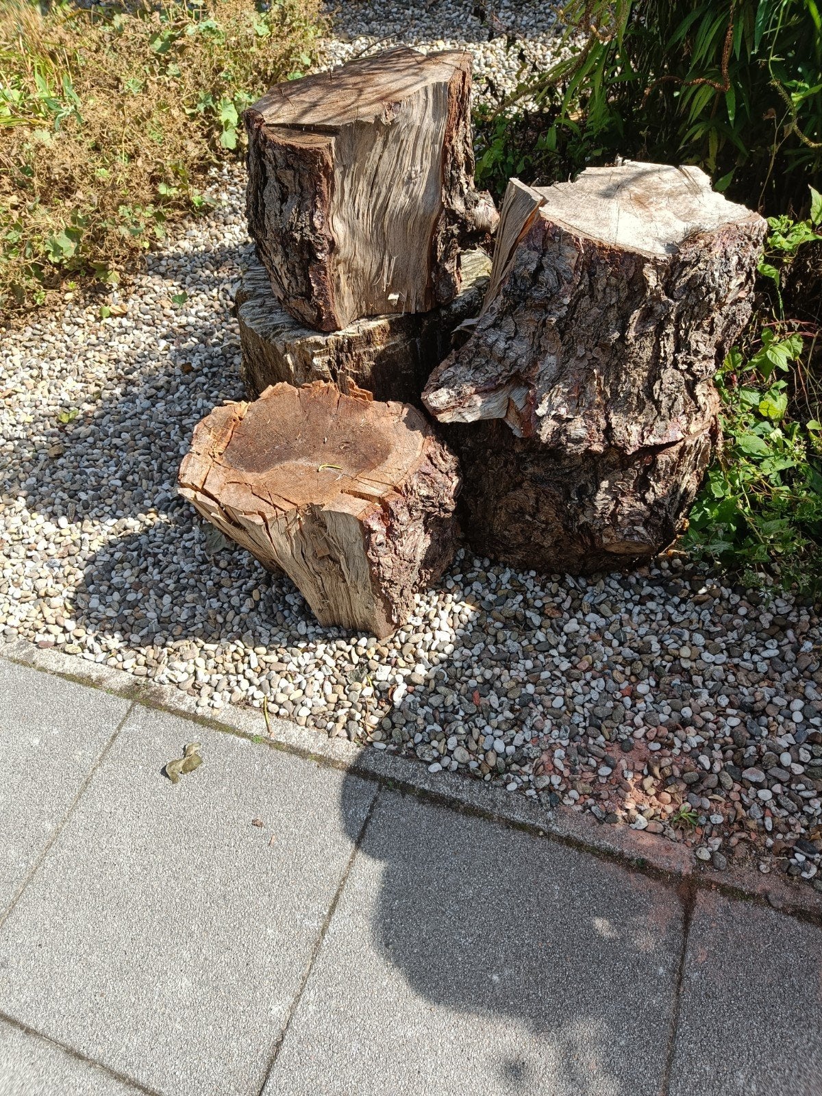 Blokken haardhout., Minder dan 3 m³, Ophalen