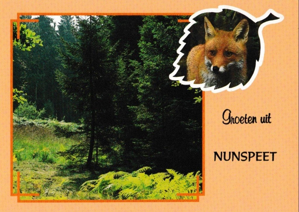 Nunspeet              593a, Ophalen of Verzenden, Voor 1920, Gelderland