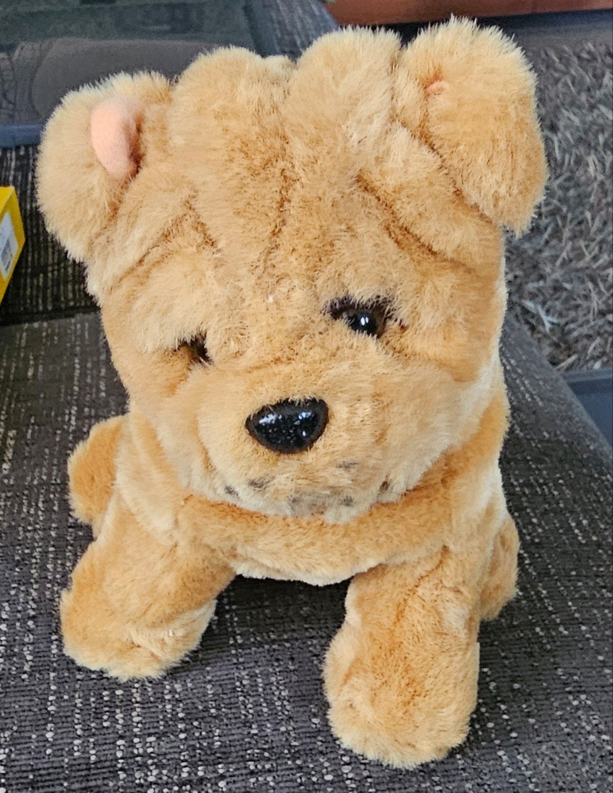 Schattige Shar-Pei knuffel - Zo goed als nieuw, Zo goed als nieuw, Middelgroot (20 tot 80 cm), Bruin, Hond