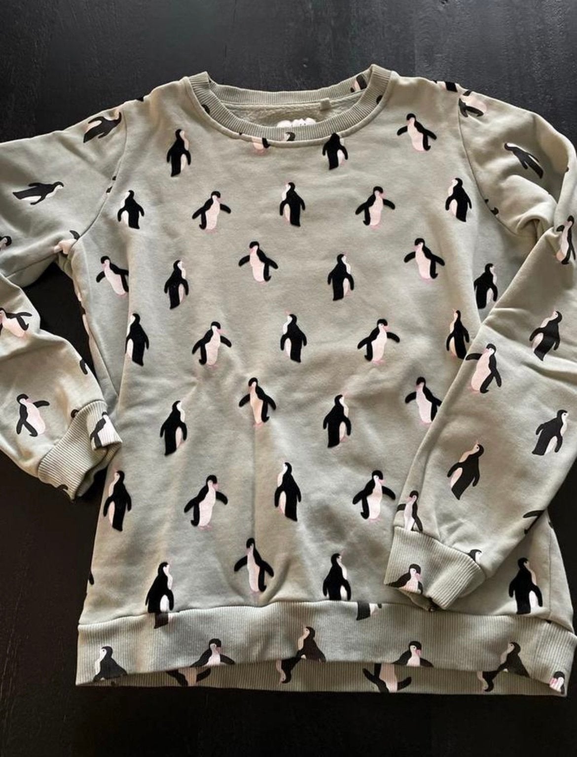 Trui Amy&Ivy pinguïns, Ophalen of Verzenden, Zo goed als nieuw, Blauw