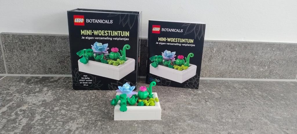 Lego Botanicals Mini-Woestijntuin zo goed als nieuw, Ophalen, Compleet, Lego, Zo goed als nieuw