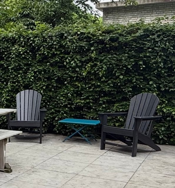 2 Luxe Sissy-Boy Fanback Stoelen als nieuw, Ophalen, Zo goed als nieuw