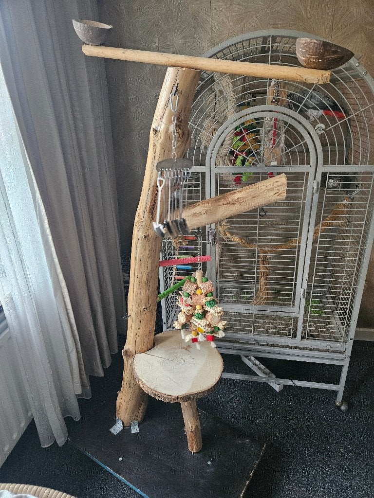 Vogelzit stok, Dieren en Toebehoren, Mannelijk, Papegaai