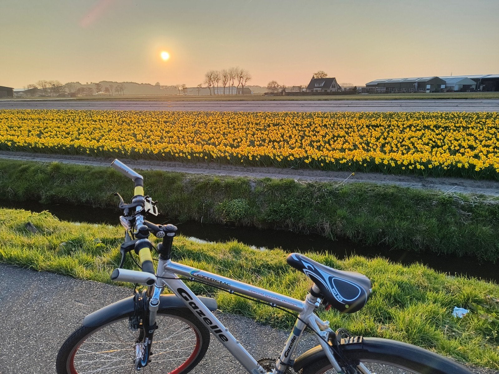 Trekking bike (Gazelle Extreme), Fietsen en Brommers, Ophalen, 24 inch of meer, Gebruikt, Aluminium
