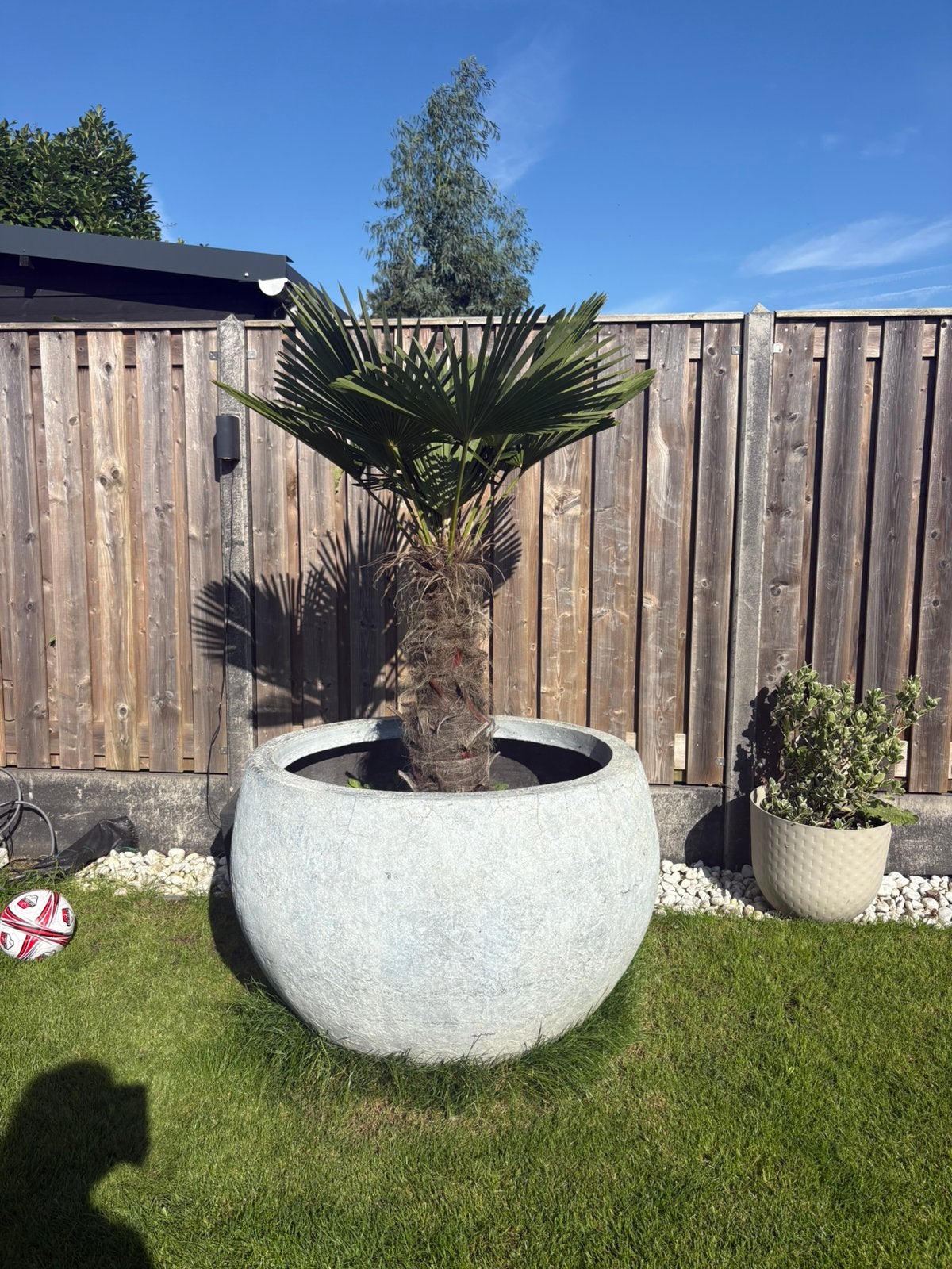 Luxe bloembakken incl palm, Tuin en Terras, Ophalen, Steen, Rond, Zo goed als nieuw