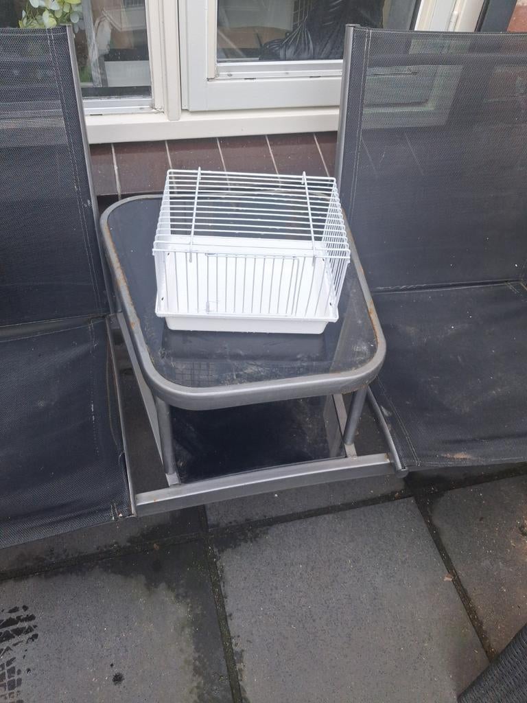 Baby kooitjes, Tuin en Terras, Ophalen of Verzenden, Zo goed als nieuw, 2 zitplaatsen