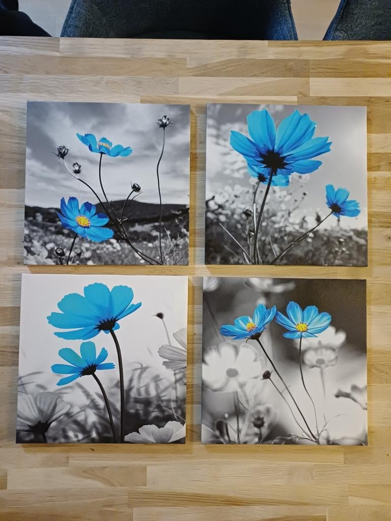 Leuke canvas schilderijtjes, Ophalen