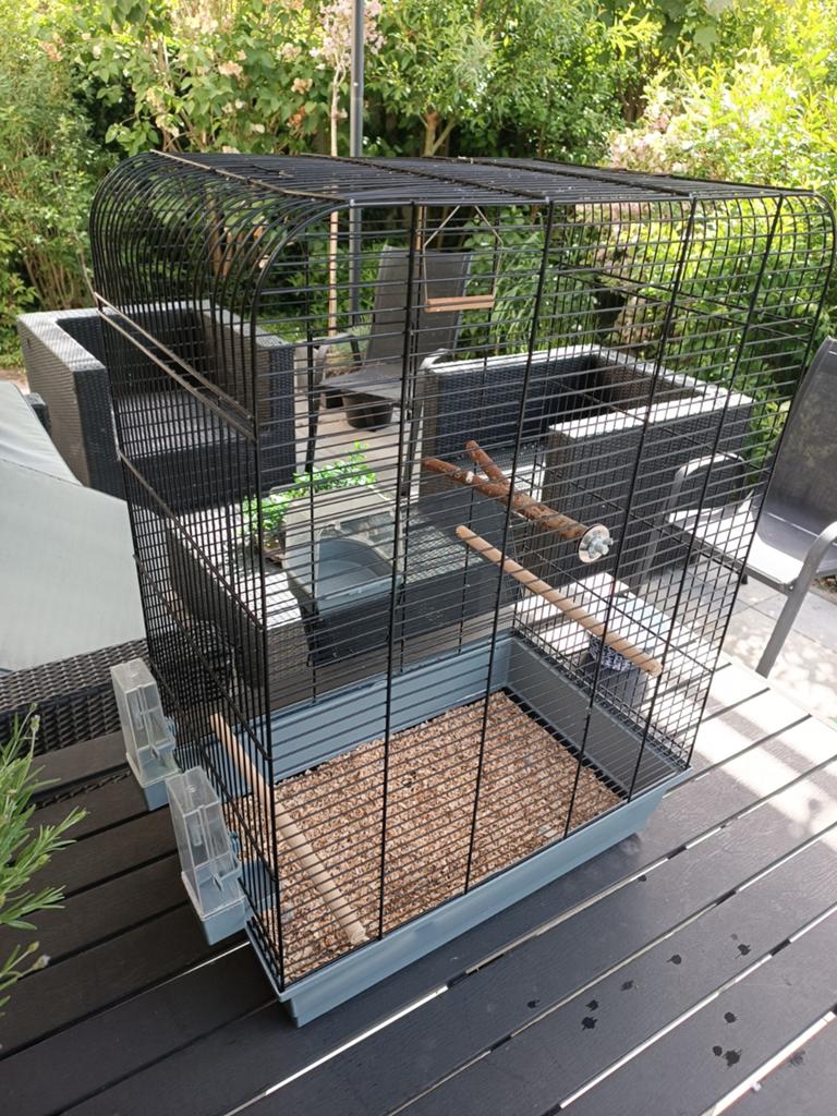 Vogelkooi voor kleine vogels, Dieren en Toebehoren, Ophalen, Gebruikt, Metaal, Vogelkooi