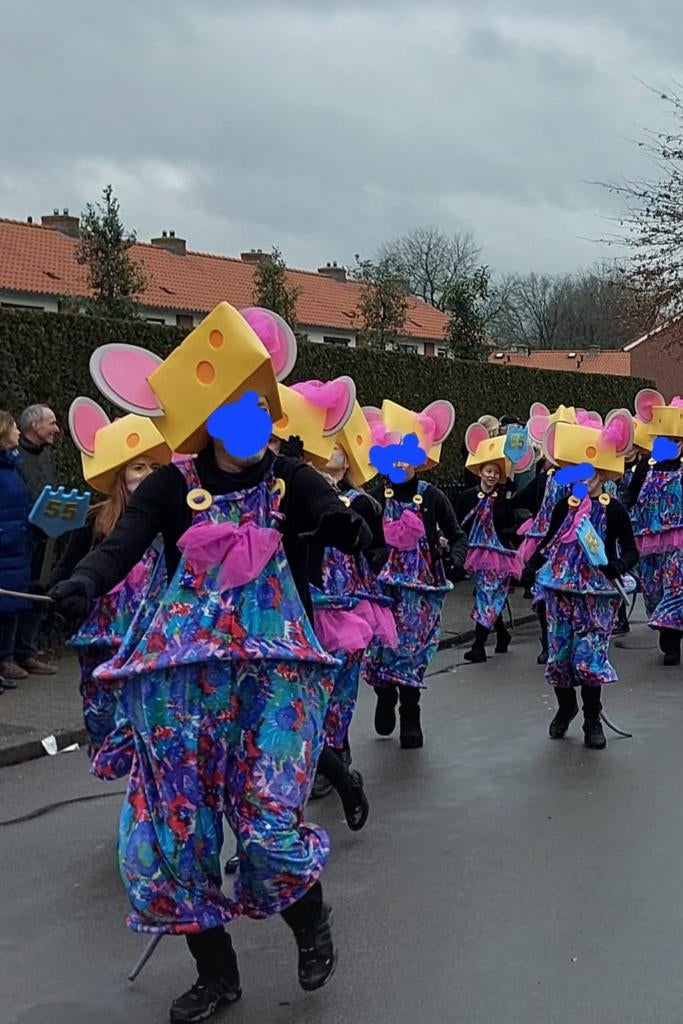 LAATSTE 7 muizenpakken met 3 kaashoeden loopgroep, Maat 38/40 (M), Carnaval, Ophalen of Verzenden, Zo goed als nieuw