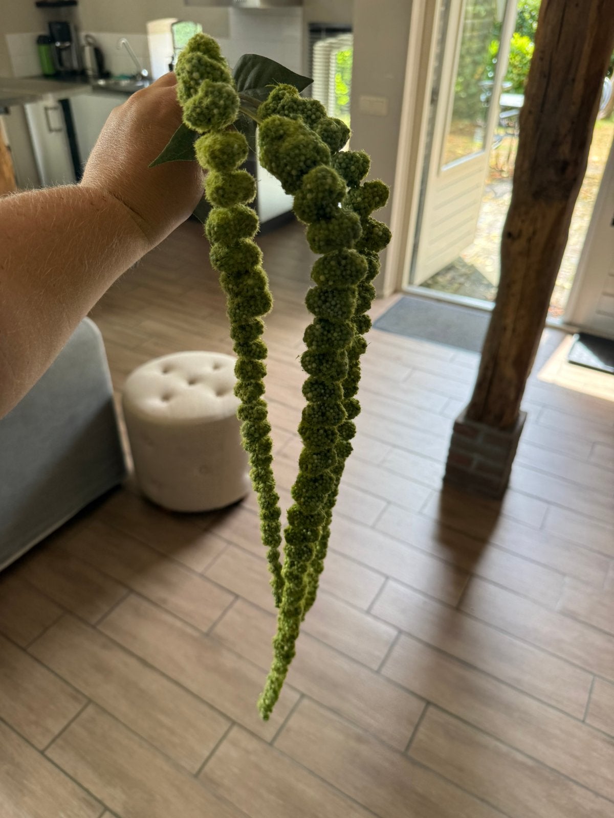 Kattenstaart, zijde bloemen 4 takken, Groen, Zijde, Ophalen of Verzenden, Zo goed als nieuw