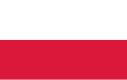 *GEZOCHT* Polen / Polish Player Matchworn Issued shirt, Verzenden, Zo goed als nieuw, Buitenlandse clubs, Shirt