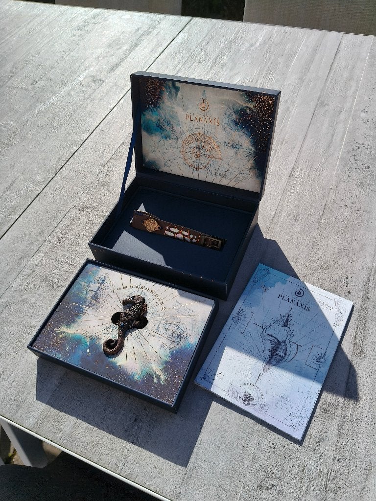 Tomorrowland 2018 The Story of Planaxis met bandje + ketting, Verzamelen, Ophalen of Verzenden, Nieuw, Gebruiksvoorwerp