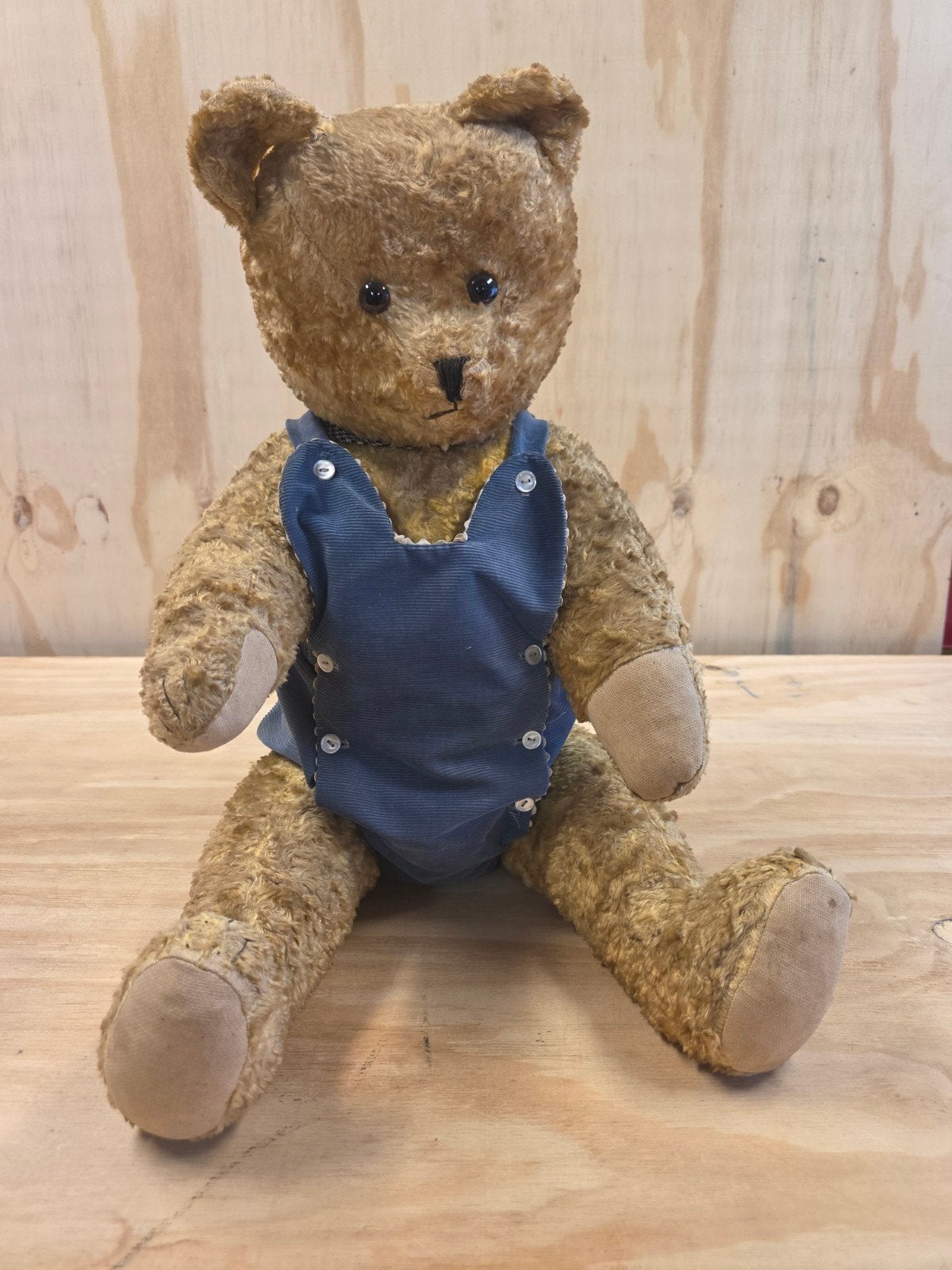 Vintage Teddybeer teddy bruine beer met blauwe tuinbroek, Gebruikt, Ophalen of Verzenden, Info@spijk-records.com, Spijk-records