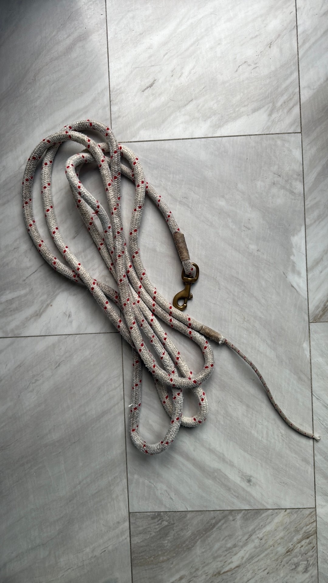 Lead rope, Ophalen of Verzenden, Gebruikt