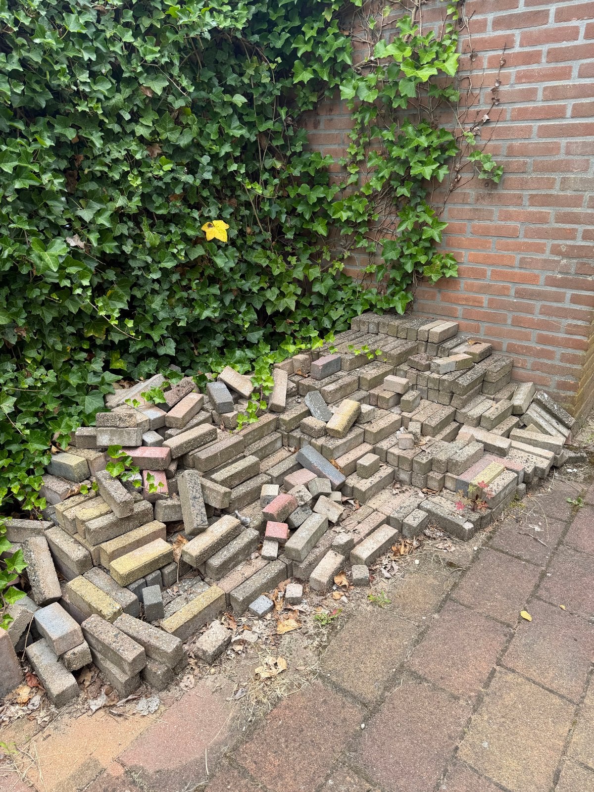 Gebruikte straatstenen/klinkers ca.10m2, Ophalen, Gebruikt