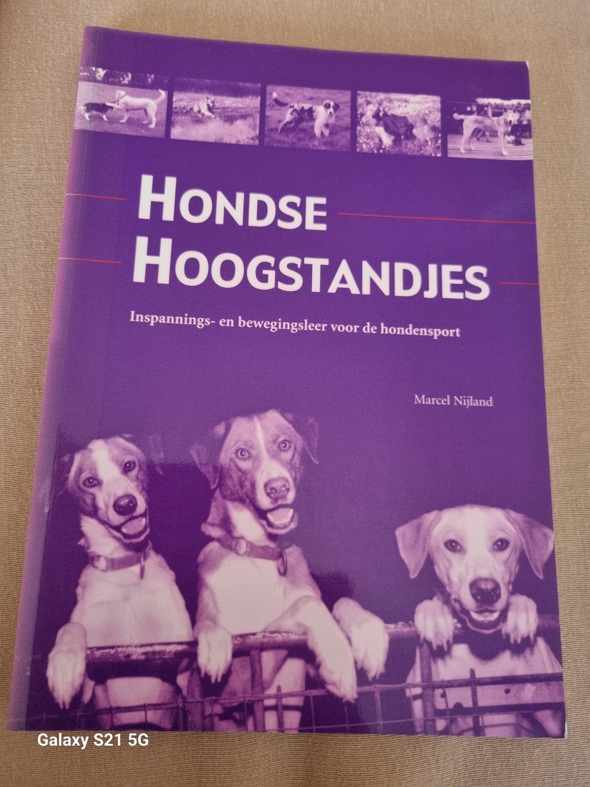 Hondse Hoogstandjes - Inspannings- en bewegingsleer, Boeken, Verzenden, Zo goed als nieuw, Honden, Marcel Nijland