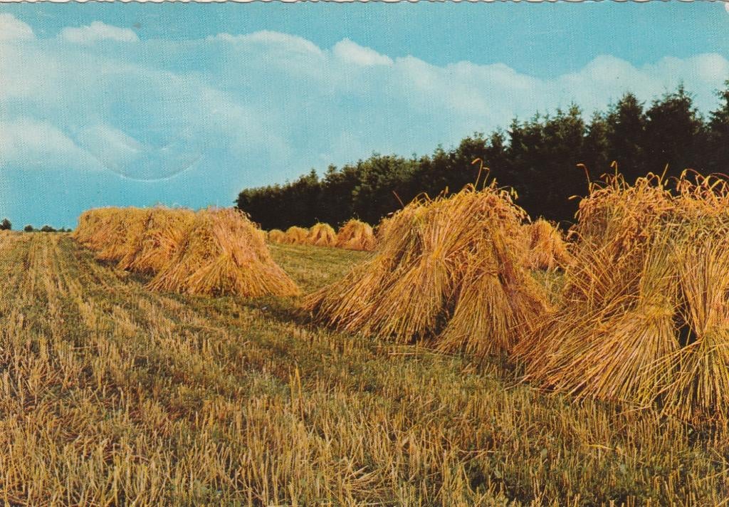 GARDEREN Oogst Uitg. Hotel Anastasius Garderen, Verzamelen, Ansichtkaarten | Nederland, Gelopen, Gelderland, 1960 tot 1980, Verzenden
